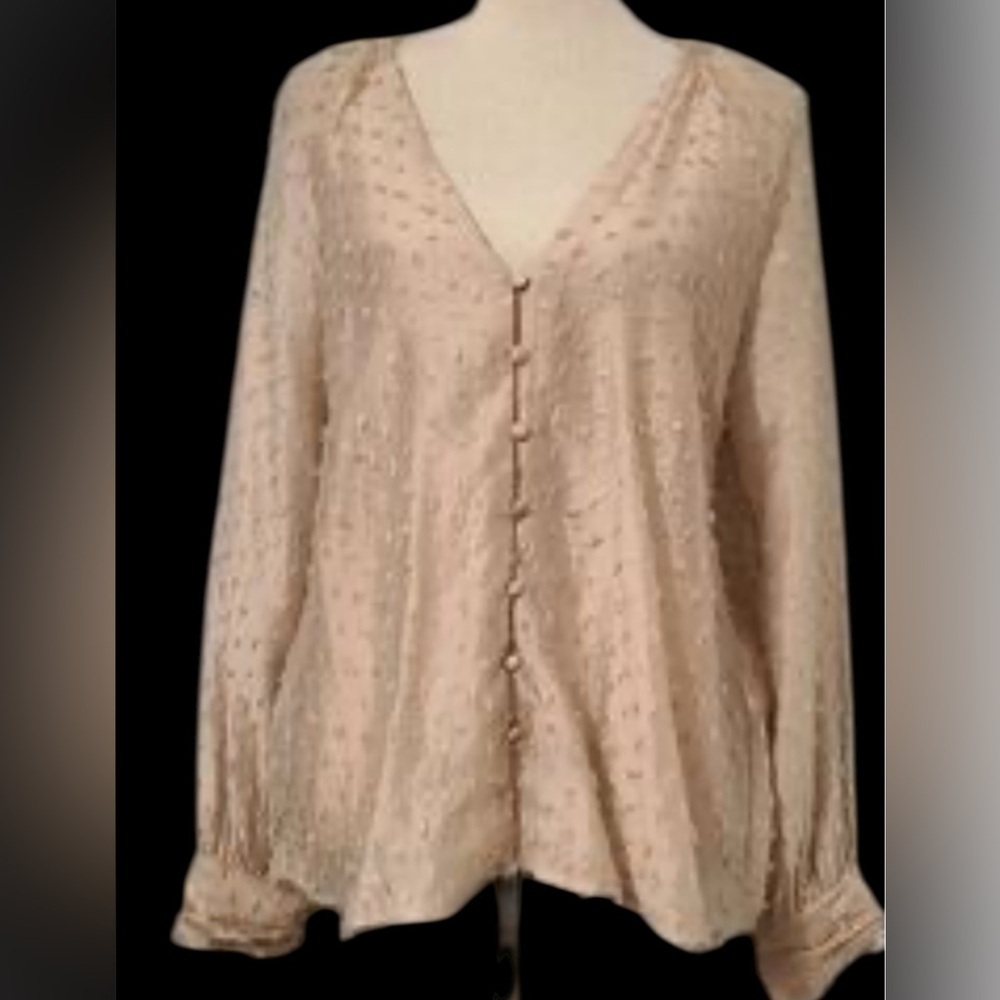 Zara Nude Long Sleeve Textured rayon  v neck shirt blouse Sz Medium